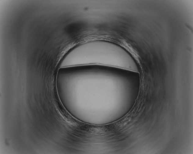 X0000098010107200803280740