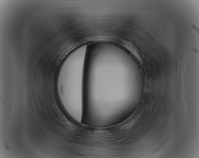 X0000098010109200803280740