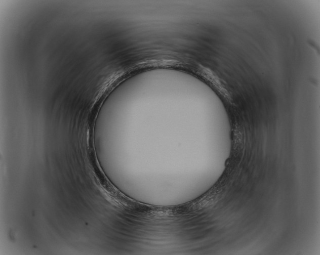 X0000098010110200803280740