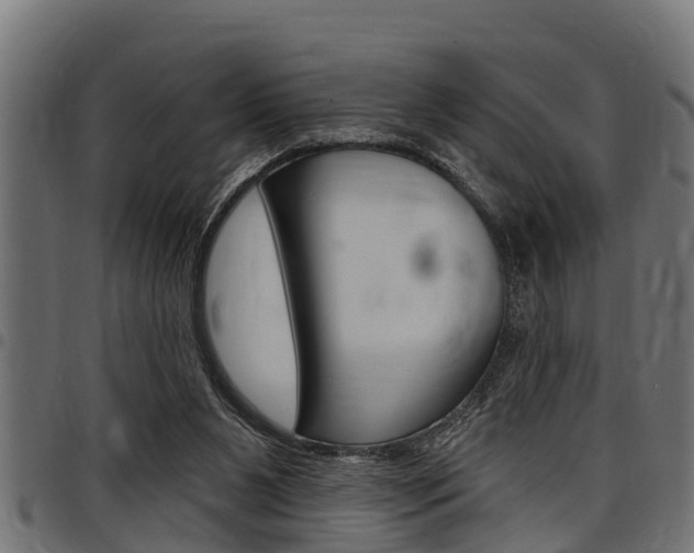 X0000098010111200803280740