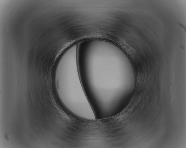 X0000098010112200803280740