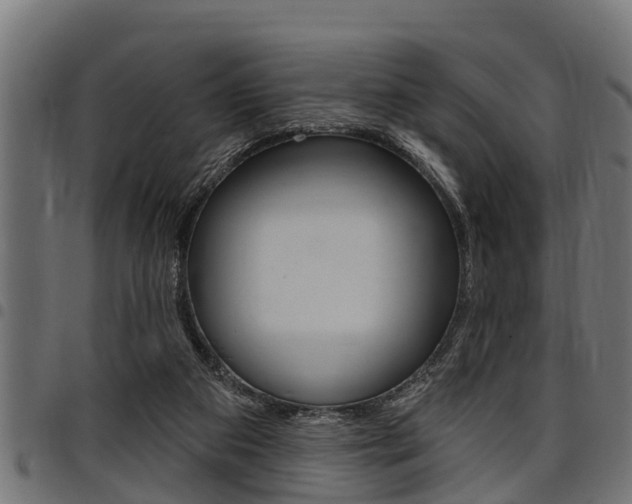 X0000098010113200803280740