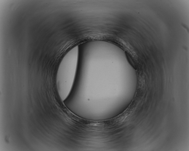 X0000098010117200803280739