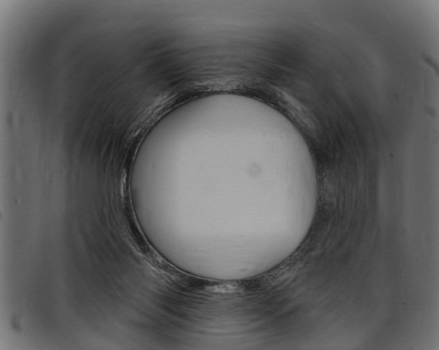 X0000098010118200803280739