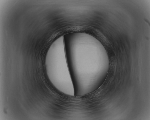 X0000098010119200803280739