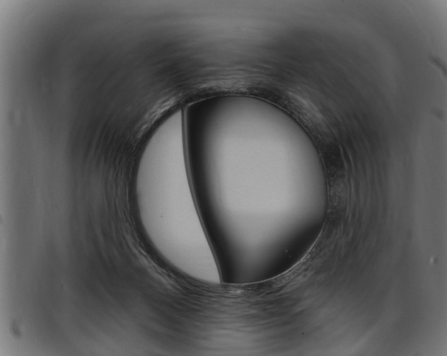X0000098010120200803280739