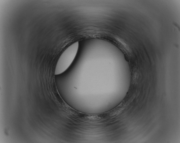 X0000098010121200803280739
