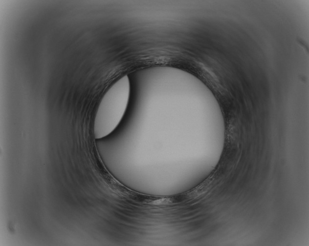 X0000098010122200803280739