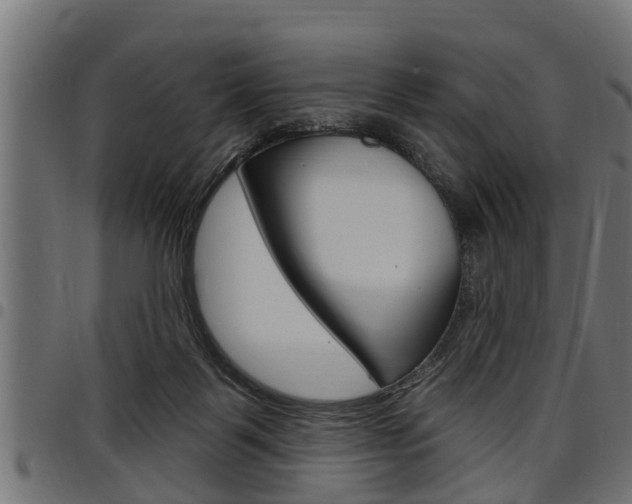 X0000098010123200803280739