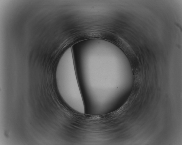 X0000098010124200803280739