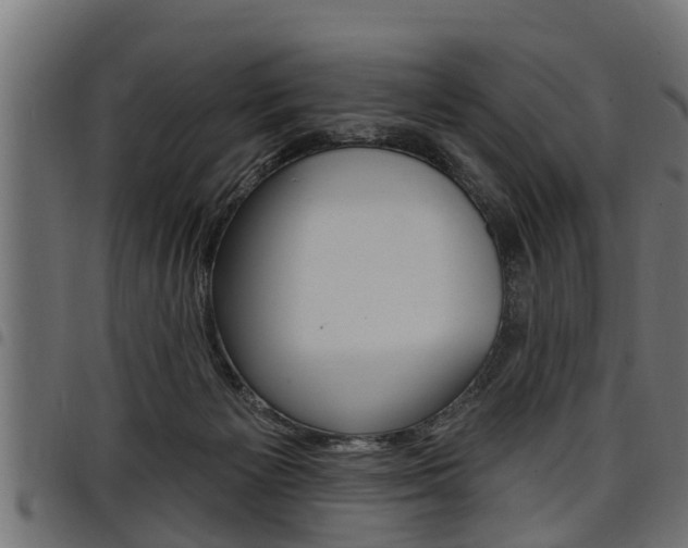 X0000098010125200803280739