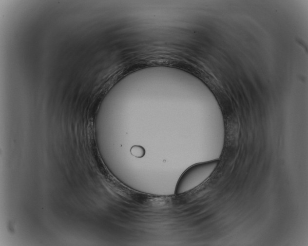 X0000098010126200803280739