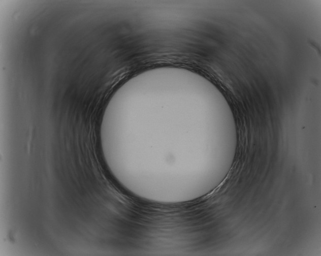 X0000098010128200803280739