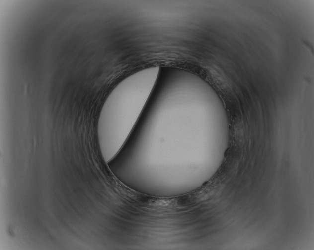 X0000098010129200803280739