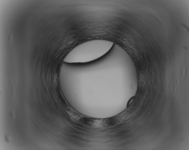X0000098010130200803280739