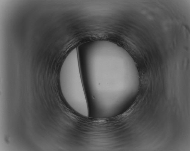 X0000098010132200803280739