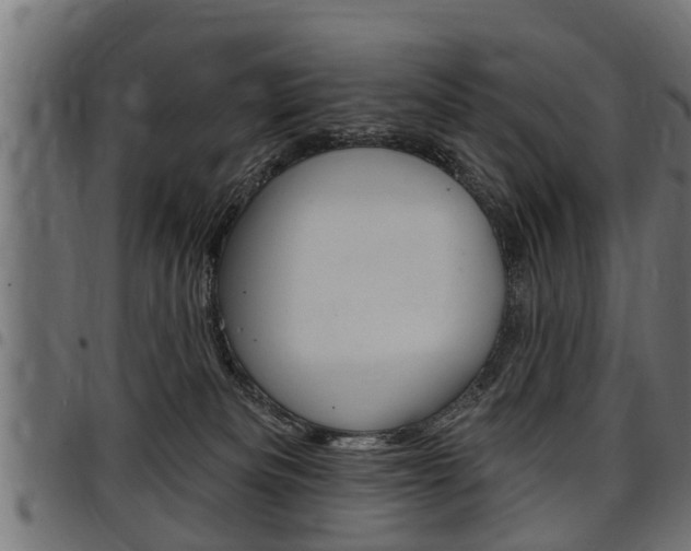 X0000098010133200803280739