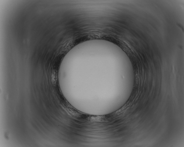 X0000098010134200803280739