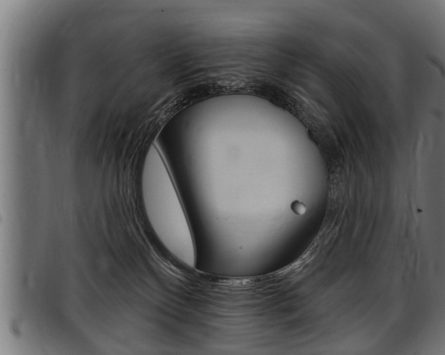 X0000098010136200803280739