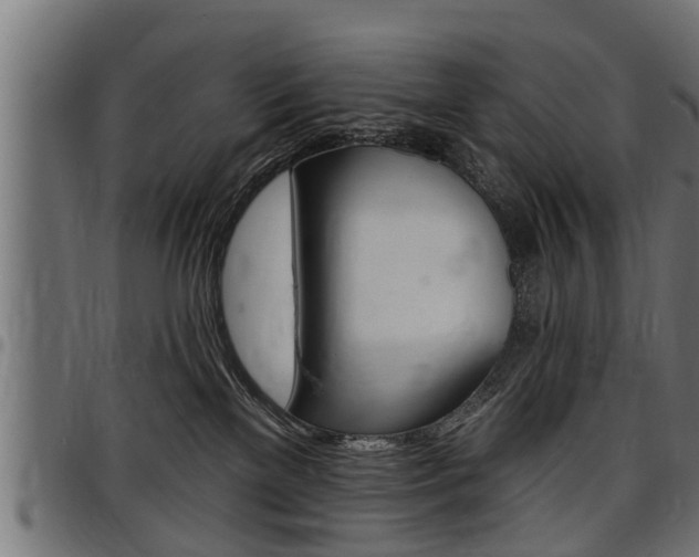 X0000098010137200803280739