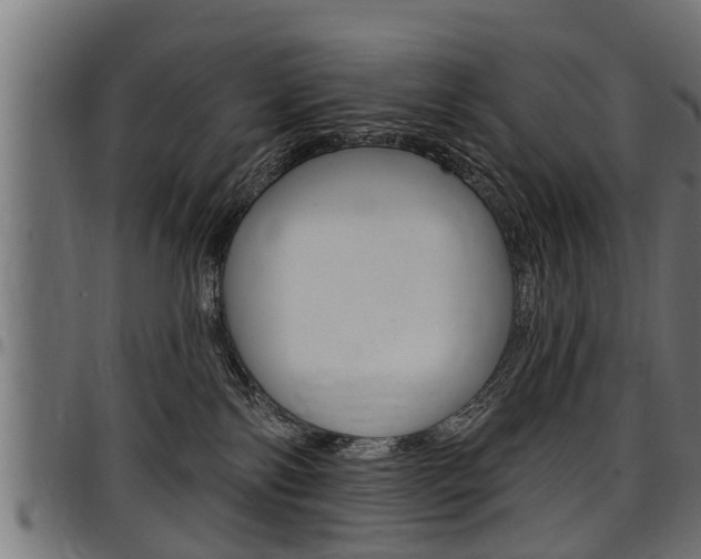 X0000098010138200803280739