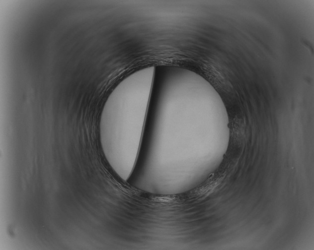 X0000098010139200803280739