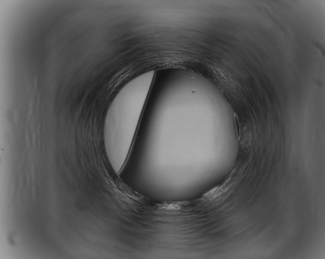 X0000098010140200803280739