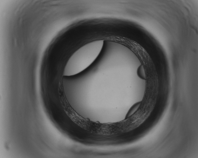 X0000098010142200803280739