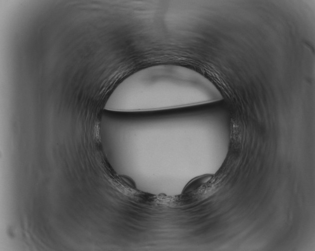 X0000098010143200803280739