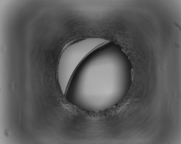 X0000098010144200803280739