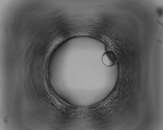 X0000098010145200803280738