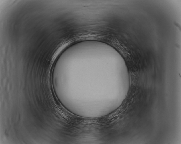 X0000098010147200803280738