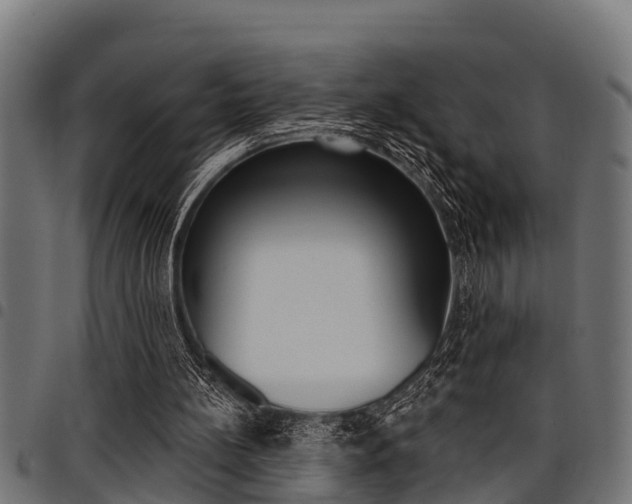 X0000098010148200803280738