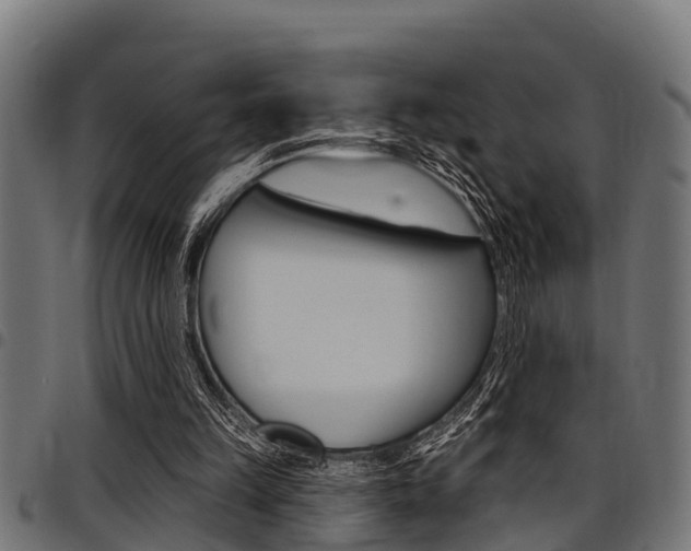 X0000098010149200803280738