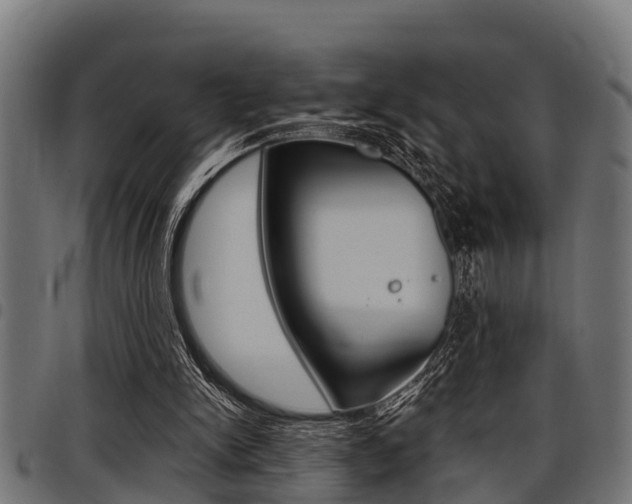 X0000098010150200803280738