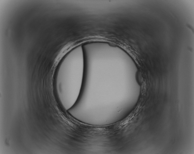 X0000098010151200803280738