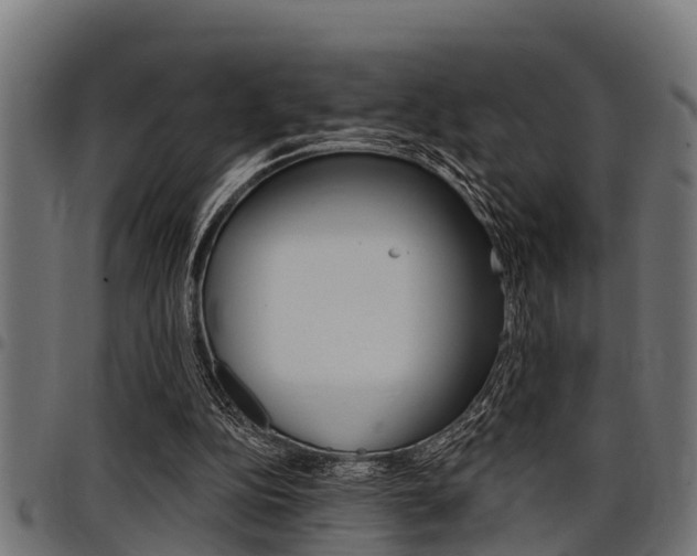 X0000098010152200803280738