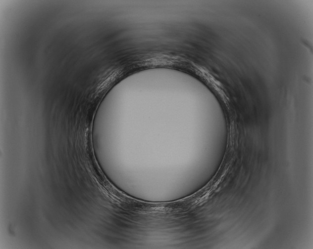 X0000098010153200803280738
