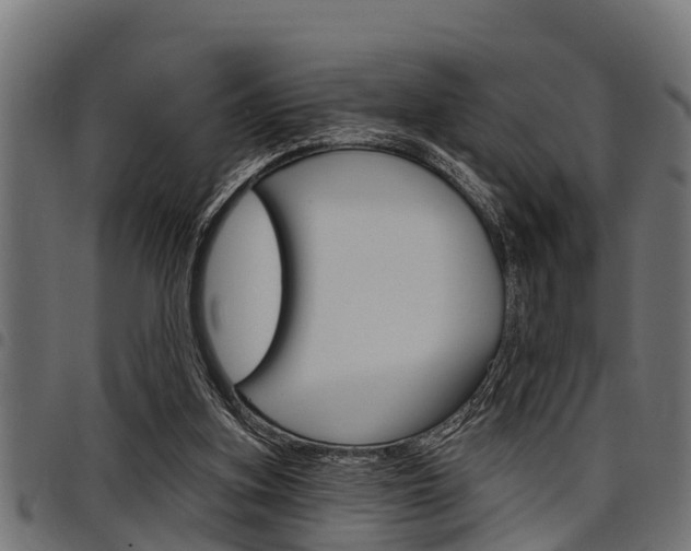 X0000098010155200803280738