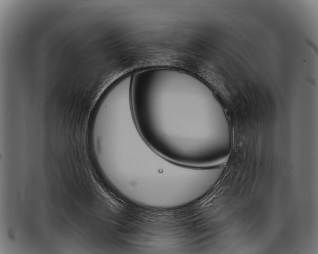 X0000098010156200803280738