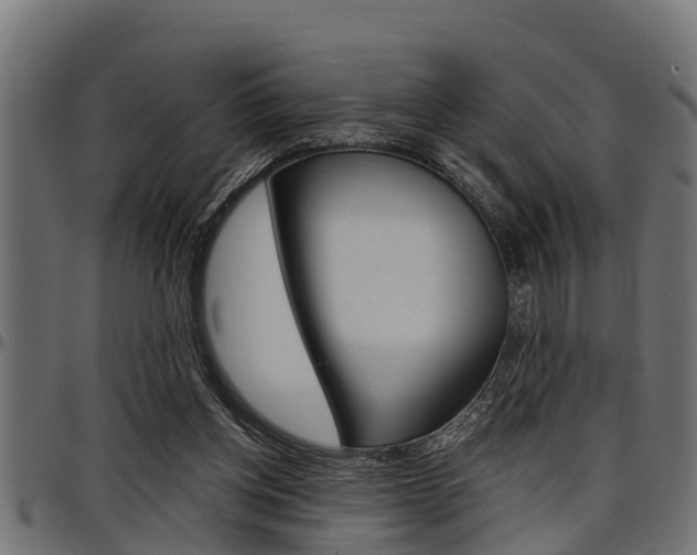 X0000098010158200803280738