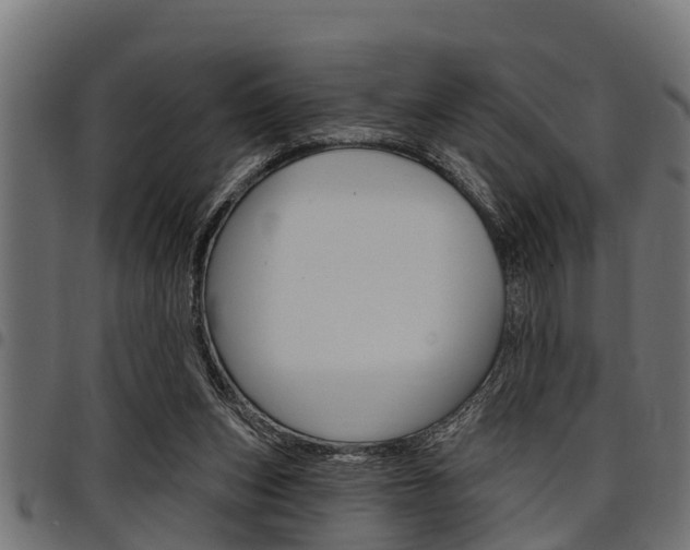 X0000098010159200803280738