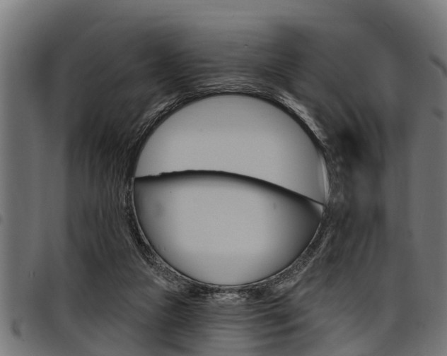 X0000098010161200803280738