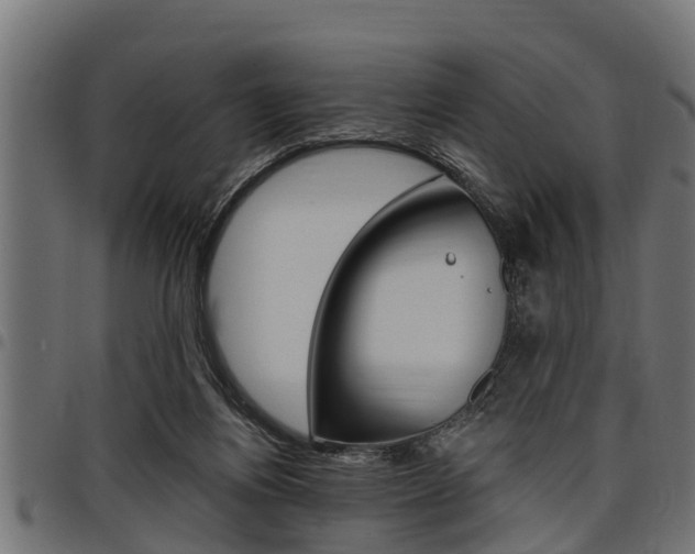 X0000098010164200803280738