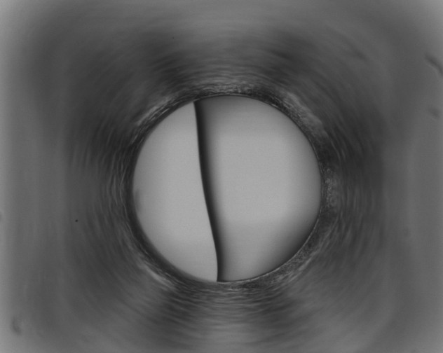 X0000098010165200803280738