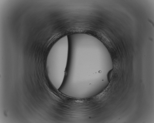 X0000098010166200803280738