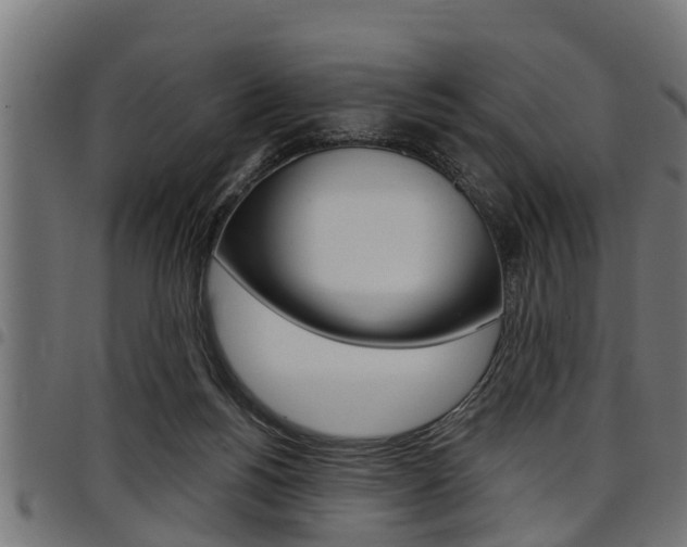 X0000098010168200803280739