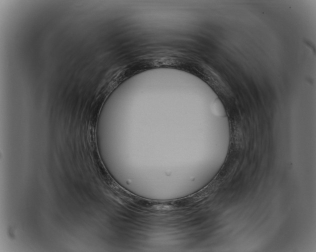X0000098010169200803280739
