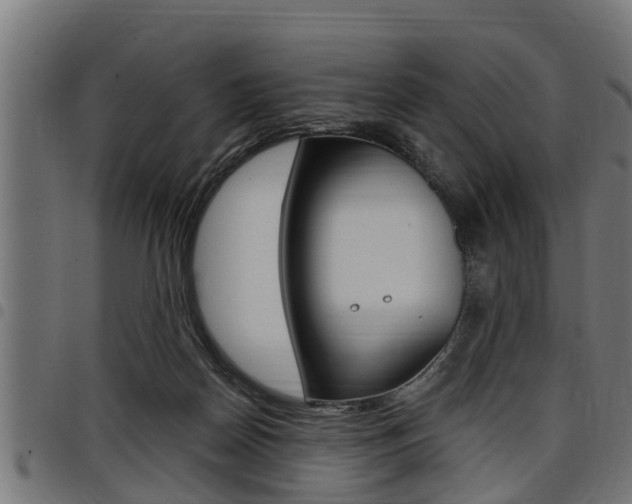 X0000098010170200803280739