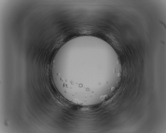 X0000098010171200803280739